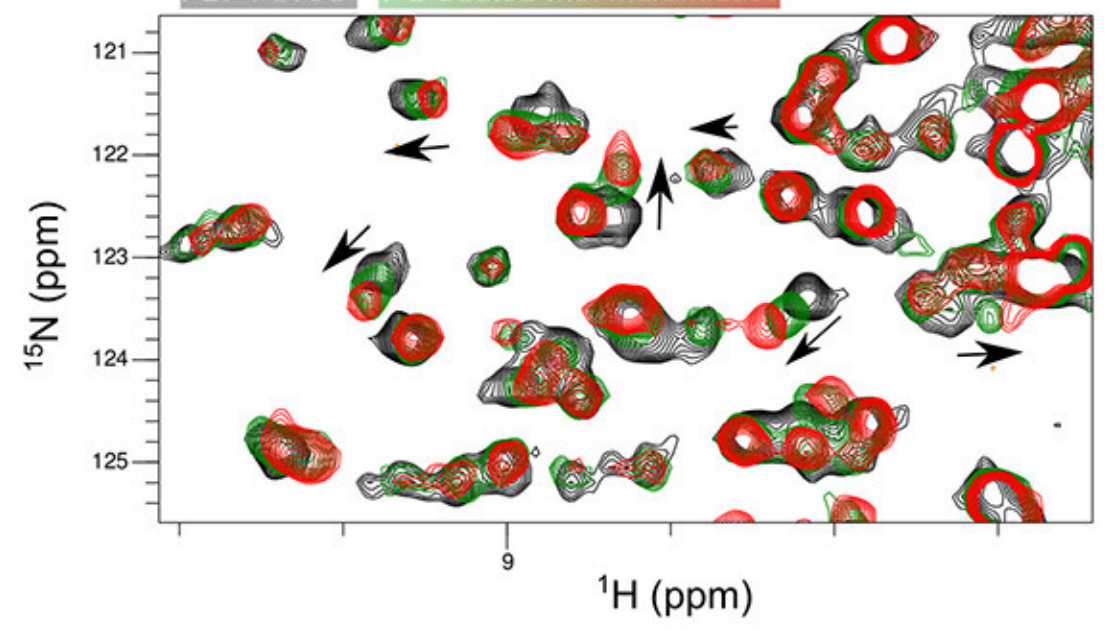 The Magnetic Attraction Of Protein NMR