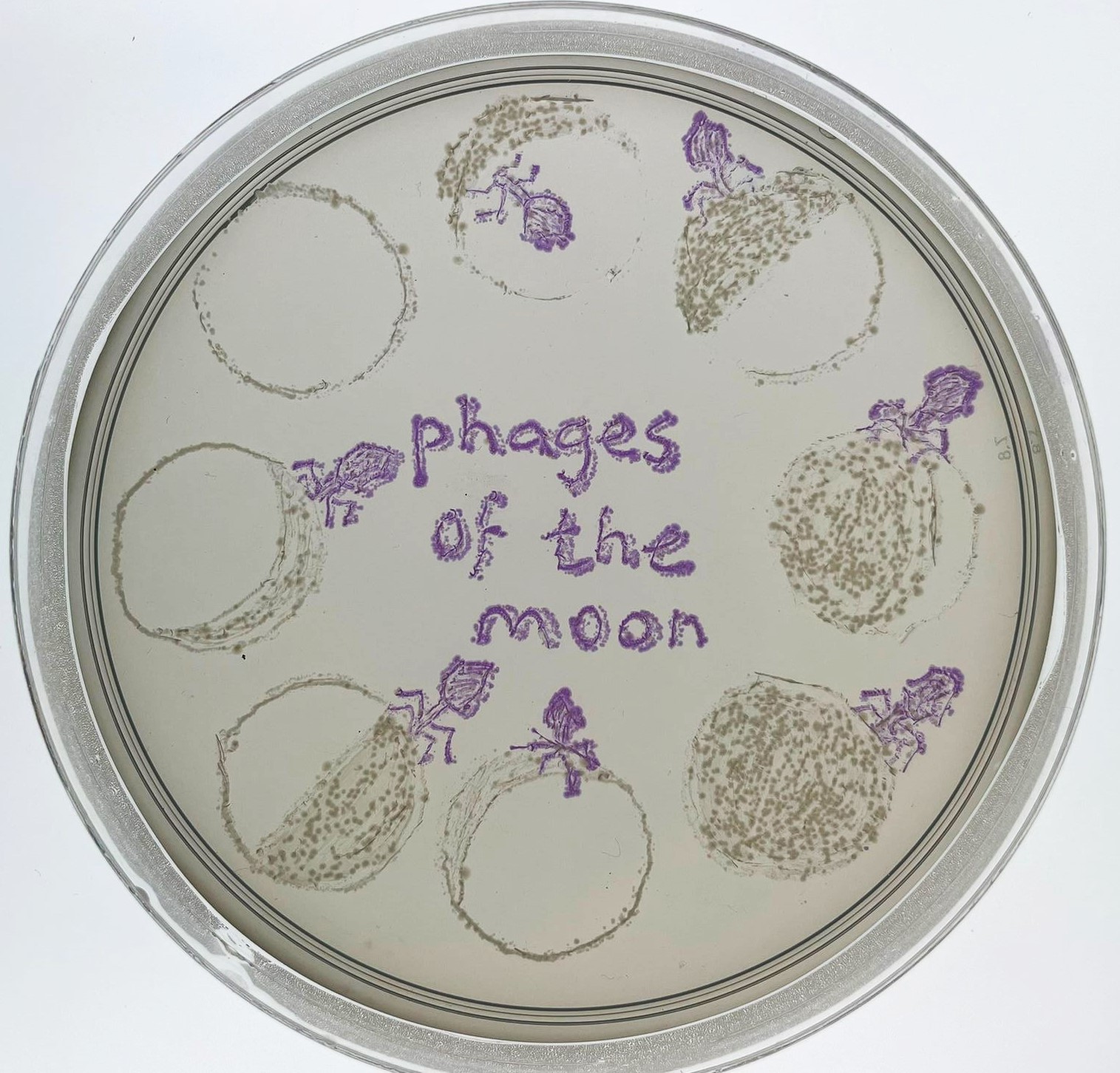 Peak Proteins Enters The ASM Agar Art Contest