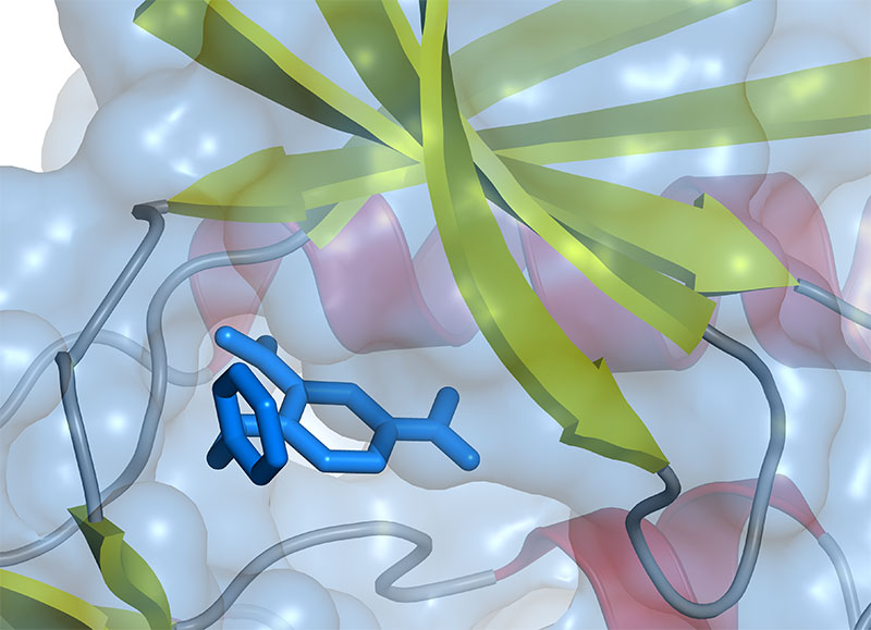 Peak Proteins Location